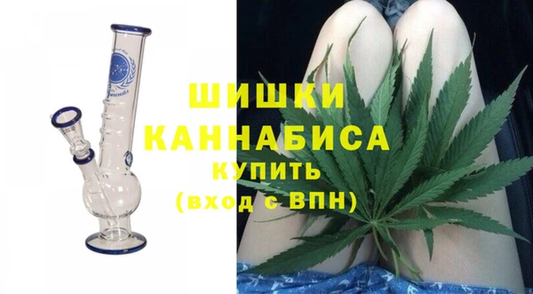 дживик Богородицк