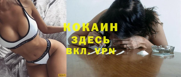 дживик Богородицк