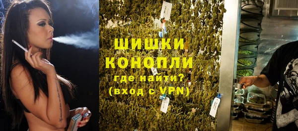 бошки Каменка