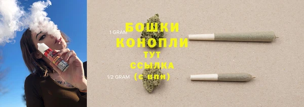 дживик Богородицк