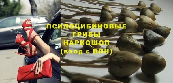 скорость Богданович