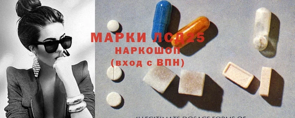 дживик Богородицк