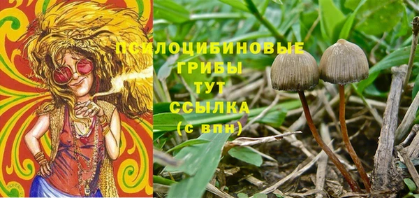 винт Бородино