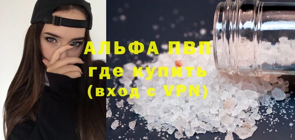 дживик Богородицк